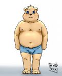  2018 anthro belly blue_eyes blush bulge clothing hi_res kenobear male mammal moobs navel nipples overweight overweight_male simple_background solo underwear ursid young 