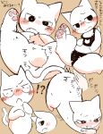 balls cat_lingerie clothing domestic_cat felid feline felis feral genitals hi_res japanese_text lingerie lingerie_on_feral male mammal ronchainu shikaruneko shikaruneko_(series) solo text translation_request