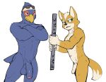 accessory anthro average_penis avian balls beak big_penis bird blue_body canid canine casual_nudity crossed_arms duo eyewear falco_lombardi feathers flaccid foreskin fox fox_mccloud fur genitals green_eyes headband hi_res humanoid_genitalia humanoid_penis jrjresq looking_at_viewer male mammal muscular muscular_male nintendo nude orange_body orange_fur penis star_fox star_fox_adventures stick sunglasses