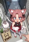  ! 1girl 1other :3 ^^^ animal_ear_fluff animal_ears animal_hands armpit_crease bag bare_shoulders beer_can blue_eyes bow can cat_(nyanko_daisensou) cat_ears cat_girl cat_tail dress drink_can drooling ebora english_commentary fangs flat_chest furrowed_brow gloves hair_bow highres holding holding_can looking_at_viewer moneko_(nyanko_daisensou) mouth_drool nyanko_daisensou open_mouth outdoors paper_bag parted_bangs paw_gloves pink_eyes plastic_bag pointing short_hair sleeveless sleeveless_dress slippers spring_onion squiggle sweatdrop tail thighhighs white_thighhighs 