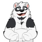  1:1 anthro belly black_nose canid canine canis cute_fangs fur giant_panda humanoid_hands hybrid male mammal simple_background slightly_chubby solo thepandobo ursid white_background white_body white_fur wolf 