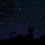  1:1 animated digital_media_(artwork) domestic_cat felid feline felis mammal moon night short_playtime silhouette star starfall 
