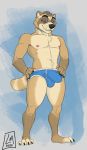  2020 alax anthro balls_outline biped brown_body brown_fur bulge clothed clothing digital_media_(artwork) erection erection_under_clothing fur genital_outline hi_res linkin_monroe male mammal mostly_nude nipples partially_clothed penis_outline procyonid raccoon simple_background skimpy smile smirk solo underwear 