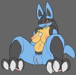  blush breasts female genitals lucario navel nintendo nipples plump_labia pok&eacute;mon pok&eacute;mon_(species) pussy slightly_chubby solo video_games x03 