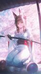  1girl absurdres alternate_costume animal_ear_fluff animal_ears black_hair breasts cherry_blossoms chest_sarashi cleavage closed_mouth collarbone commentary domi_(hongsung0819) fingernails fox_ears fox_girl hair_ornament highres holding holding_sword holding_weapon hoshimi_miyabi japanese_clothes kimono long_hair looking_to_the_side off_shoulder red_eyes red_sash sarashi sash scabbard seiza sheath sheathed sitting solo sword weapon white_kimono zenless_zone_zero 