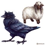  bird black_eyes commentary corviknight creature english_commentary full_body gen_8_pokemon highres looking_at_viewer no_humans ommanyte pokemon pokemon_(creature) realistic red_eyes sheep simple_background standing_claws white_background wooloo 