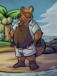  2020 animal_crossing anthro beach belly bottomwear brown_body brown_fur canid canine chubby_male clothed clothing detailed_background fur hi_res humanoid_hands k-9 male mammal nintendo open_shirt outside overweight overweight_male raccoon_dog seaside shirt shorts slightly_chubby solo tanuki tom_nook_(animal_crossing) topwear video_games water 