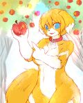  2013 4:5 absurd_res anthro apple apple_tree blue_eyes breasts butter_(nāsheru) canid canine canis collar domestic_dog featureless_crotch female fingers fluffy fluffy_tail food fruit fur hair hi_res holding_object kemono looking_at_viewer mammal mostly_nude multicolored_body multicolored_fur navel nāsheru open_mouth plant short_hair solo translucent translucent_hair white_body white_fur yellow_body yellow_fur 