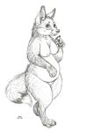  canid canine female fox hi_res mammal monochrome oddwilds overweight overweight_female standing 