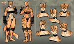  clothed clothing collar felid female ionic44 luigiix mammal model_sheet pantherine skimpy solo stripes tiger wild_(luigiix) yellow_eyes 