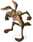 2025 3_toes 4_fingers anthro arm_tuft belly bent_leg biped black_eyes black_nose brown_body brown_fur canid canine canis casual_nudity chest_tuft claws colored coyote devious digital_drawing_(artwork) digital_media_(artwork) elbow_tuft eyebrows fangs feet fingers fist foot_fetish fur humanoid_hands humanoid_heel hungry knee_tuft kneeling leg_tuft lines_drawn looney_tunes macro male mammal multicolored_body multicolored_fur nude on_one_knee paws pecs plantigrade raised_finger raised_heel ribs rudy_quorido shaded simple_background skinny solo standing_on_toes stomping tan_belly tan_body tan_eyebrows tan_fur teeth tiptoes toe_claws toes tongue tongue_out tuft two_tone_body two_tone_fur unfinished warner_brothers whisker_spots whiskers white_background wile_e._coyote yellow_sclera