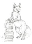  belly book canid canine female fox hi_res mammal monochrome oddwilds overweight overweight_female standing 