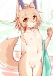  ahoge amber_eyes anthro breasts brown_body brown_fur brown_hair canid canine canis cub domestic_dog female fur genitals hair kemono kida_kuro_mu mammal nipples pussy short_hair small_breasts smile solo towel young 