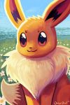  :3 brown_eyes closed_mouth creature eevee flower gen_1_pokemon grass looking_at_viewer no_humans orcaowl outdoors pokemon pokemon_(creature) signature smile solo 