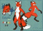 blue_border border canid canine crypsis fangs female fox mammal model_sheet multiple_poses pose standing 