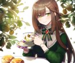  1girl artist_name bangs blush braid breasts brown_hair closed_mouth commentary_request cup dress ear_piercing eyebrows_visible_through_hair fingernails food fruit gem glint green_dress green_eyes green_ribbon holding holding_cup jewelry leaf lemon long_fingernails long_hair medium_breasts mole mole_under_eye mole_under_mouth nail_polish neck_ribbon noixen original piercing plant purple_nails ribbon ring ruby_(gemstone) saucer smile solo striped striped_neckwear striped_ribbon table teacup upper_body very_long_hair watch wristwatch 