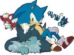  4:3 anthro blue_body blue_fur bodily_fluids chip_(sonic) clothing dated eulipotyphlan fluffy footwear fur gloves green_eyes group hand_on_head handwear hedgehog lying male mammal niwa0w0 on_front red_body red_fur shoes simple_background sitting smile sonic_the_hedgehog sonic_the_hedgehog_(series) sonic_the_werehog sonic_unleashed square_crossover sweat were wereeulipotyphlan werehog white_background white_body white_fur yellow_eyes 