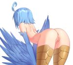  1girl ahoge anus ass bent_over bird_legs blue_hair blue_wings breasts feathered_wings feathers from_behind groin harpy highres iwbitu-sa monster_girl monster_musume_no_iru_nichijou nude papi_(monster_musume) pussy shiny shiny_hair shiny_skin short_hair shoulder_blades simple_background small_breasts uncensored white_background winged_arms wings 