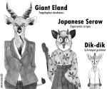  absurd_res antelope anthro asian_clothing bovid bovid_horn bovine clothing countershade_face countershading dik-dik east_asian_clothing efradraws eland eyelashes female fluffy fluffy_hair giant_eland graphite_(artwork) group hair hands_behind_back hi_res horn japanese_clothing japanese_serow kimono mammal monochrome neck_tuft office_clothing spiral-horned_antelope suit traditional_media_(artwork) trio true_antelope tuft 