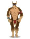  abs bracelet canid canine canis clothing dobermann domestic_dog eyewear jewelry male mammal nipples pecs pinscher speedo sunglasses swimwear tokyo_afterschool_summoners tyrving video_games xolotl 