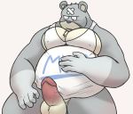  2020 aft_male alfredblaze animal_crossing anthro balls belly blush clothing curt_(animal_crossing) erection genitals hi_res humanoid_genitalia humanoid_hands humanoid_penis male mammal nintendo overweight penis shirt simple_background solo topwear ursid video_games 