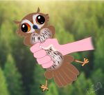  avian bird hi_res owl squish thepinkdemon 