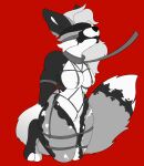 absurd_res ananke anthro arms_tied arms_tied_behind_back barely_visible_genitalia barely_visible_vulva bdsm blindfold bondage bone_gag bound breasts canid canine cheek_tuft cloth_blindfold collar crotch_rope digital_media_(artwork) facial_tuft female fox fully_bound fur fur_markings gag gagged genitals greyscale hair hi_res kneeling leash leashed_collar legs_tied legs_together light_hair mammal markings mia_(paetinii) monochrome nipples nude paws red_background restraints rope rope_bondage rope_harness simple_background solo spots spotted_markings submissive submissive_anthro submissive_female tail tail_markings thick_thighs tuft vulva