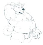  2020 absurd_res anthro belly bulge canid canine clothing hi_res humanoid_hands kinkymalamuth male mammal moobs navel nipples overweight overweight_male simple_background solo underwear white_background 