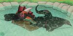 2026 anthro black_body black_scales dragon eye_scar eyes_closed facial_scar hi_res horn hot_spring hydez male mythological_creature mythological_scalie mythology orange_body orange_scales pawpads pool ra'zim red_body red_pawpads red_scales red_soles scaled_dragon scales scalie scar sleeping tail water wings