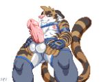  alpha_channel balls blush felid genitals harness looking_at_viewer male mammal pantherine penis sebastian_aji ses_vanbrubles tiger 