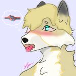 1:1 anthro bird_dog blonde_hair blue_ears blue_eyes blush bodily_fluids breath canid canine canis domestic_dog fluffy flustered fudgyfloof fur golden_retriever hair hi_res hunting_dog male mammal panting retriever saliva solo speech_bubble thought_bubble thoughts tongue tongue_out waltyzwaffles white_body white_fur