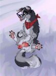absurd_res anatomically_correct anatomically_correct_genitalia anatomically_correct_penis animal_genitalia animal_penis balls bedroom_eyes blep border_collie canid canine canine_genitalia canine_penis canis collie domestic_dog eyewear feet feral fluffy_balls fur genitals glasses herding_dog hi_res kerchief knot knotted_penis looking_at_viewer male mammal markings masturbation narrowed_eyes offering_sex offering_to_viewer pastoral_dog pawpads paws penis pepik_(queenkoko) plaid presenting presenting_penis queenkoko seductive sheepdog sitting solo spots spotted_body spotted_fur spread_legs spread_toes spreading toes tongue tongue_out wearing_glasses