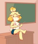  animal_crossing anthro blush bodily_fluids breasts canid canine canis chalkboard clothed clothing desk domestic_dog female fur furniture genital_fluids hair hi_res inside isabelle_(animal_crossing) looking_at_viewer mammal nintendo nipples nyoronyan panties partially_clothed pussy_juice school shih_tzu sitting smile solo teacher toy_dog underwear video_games yellow_body yellow_fur 