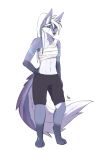  2024 anthro blue_eyes blue_markings canid canine canis chest_wraps digital_media_(artwork) digitigrade female gloves_(marking) hair hand_on_hip helen_(kpz-70) hi_res kpz-70_(artist) leg_markings mammal markings midriff scar simple_background socks_(marking) solo tail white_background white_hair wolf wraps 