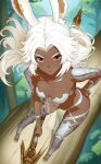  1girl animal_ear_fluff animal_ear_piercing animal_ears armor bikini bikini_armor blush breasts closed_mouth collarbone commentary contrapposto curtained_hair dark-skinned_female dark_skin day english_commentary fewer_digits final_fantasy final_fantasy_xii floating_hair forest fran_(ff12) from_above full_body grey_armor grey_bikini hand_on_own_hip holding holding_polearm holding_weapon in_tree jpeg_artifacts lance leg_armor long_hair looking_at_viewer looking_up medium_breasts nature navel outdoors parted_bangs polearm rabbit_ears rabbit_girl red_eyes revealing_clothes revenantart see-through_clothes serious shoulder_armor signature solo straight_hair swimsuit toenails tree tsurime v-shaped_eyebrows viera weapon white_hair white_nails 