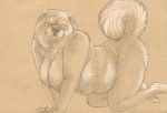  anthro breasts cadmiumtea canid canine canis domestic_dog eyewear female glasses mammal nude slightly_chubby solo 