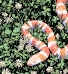  artist_name choo clover clover_(flower) flower grass leaf no_humans original plant red_eyes snake white_flower 