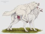 2026 animal_genitalia anus arctic_fox artist_name balls bodily_fluids braided_hair butt canid canine canis cookie crytrauv cum cumshot doggystyle dripping dripping_vulva duo ejaculation english_description erna_(valiberite) female feral feral_penetrated feral_penetrating feral_penetration food fox from_behind_position genital_fluids genitals grass grin hair happy happy_sex hi_res intraspecies knot male male/female mammal mounting on_grass on_ground penetration penis plant realistic_feral scrunched_nose sex sheath simple_background smile standing tail tail_tuft text tongue tongue_out true_fox tuft vaginal vaginal_penetration valiberite vein veiny_penis vulva white_body wolf
