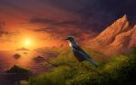 2019 ambient_bird ambiguous_gender avian bird black_body black_feathers blue_body blue_feathers branch chest_tuft creeperman0508 detailed_background feathers feral green_body green_feathers grey_cloud honeyeater mountain multicolored_body multicolored_feathers new_zealand on_branch oscine passerine sea seaside sky solo sun sunset tuft tui_(bird) water