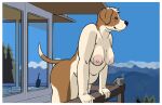 anthro balcony beagle belly beverage big_belly big_breasts border breasts brown_body brown_fur canid canine canis casual_nudity coffee coffee_mug domestic_dog electronics female fur hi_res hunting_dog jo_(oystr) mammal mountianscape multicolored_body multicolored_fur nipples orange_eyes outside oystr pink_nipples plant scent_hound slightly_chubby slightly_chubby_female solo tree two_tone_body two_tone_fur united_states_forest_service walkie-talkie watchtower white_body white_border white_fur