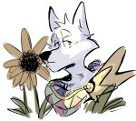  2020 adastra armor canid canine canis cape cassius_(adastra) clothing digital_media_(artwork) flower fur haps hi_res looking_away male mammal plant red_eyes sad serious simple_background solo sunflower white_background white_body white_fur wolf 