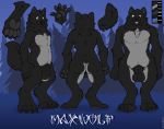  4_toes 5_fingers animal_genitalia anthro balls canid canine canis english_text fingers fully_sheathed fur genitals male mammal maxwolf_(character) model_sheet pawpads rhari sheath teeth text toes wolf 