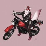  125 1:1 2020bike_(disambiguation) absurd_res biker clothed clothing cycle digital_media_(artwork) domestic_cat felid feline felis female hair hi_res kirkesan leather looking_at_viewer maine_coon mammal miyumi motorcycle motorist red_hair retro simple_background smile solo suzuki vehicle vintage 