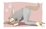  all_fours anthro ass_up bedroom_eyes black_nose black_pawpads bottomwear brown_hair canid canine clothed clothing female fennec fluffy fluffy_tail footprint fox fully_clothed fur hair hi_res hoodie inner_ear_fluff jeans kemono licking licking_lips long_ears looking_at_viewer mammal narrowed_eyes pants pawpads pawprint seductive snout solo tan_body tan_fur taracod tongue tongue_out topwear tuft 