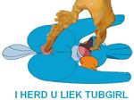  meme mudkip pokemon tagme tubgirl 