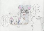  bijou boss hamtaro tagme 