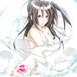  sekirei tagme uzume 