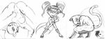  cheetah dc kim_possible kimiko_tohomiko xiaolin_showdown 