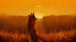  16:9 2020 ambiguous_gender canid canine canis day detailed_background feral fluffy fur grass landscape mammal nature nude orange_theme outside rear_view sitting sky snowfoxatheart solo sun sunset wolf 