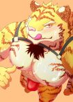  absurd_res anthro barry_0_7 big_muscles bodily_fluids bulge clothed clothing cum cum_on_chest cum_on_face felid fur genital_fluids hi_res huge_muscles looking_at_viewer male mammal muscular nipples pantherine simple_background solo tiger tongue tongue_out 